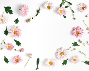 flower frame layout. beautiful pink chrysanthemums and green leaves on a white background. flat lay, space for a text