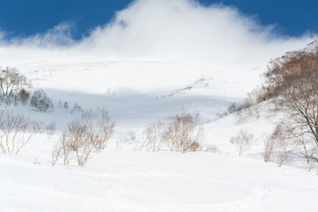 Fototapeta na wymiar snow white mountain, back country, japan