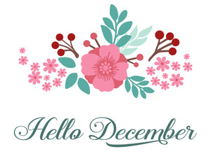Design poster hello december, with decoration plant of pink flower frame. Vector