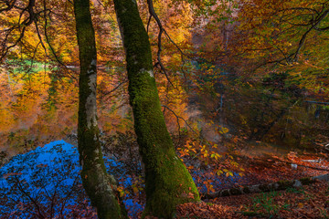 Highland lake in the autumn season