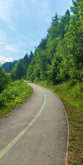 Fototapeta na wymiar upwarrding asphalted cycle-track with trees around and blue sky in Slovakia