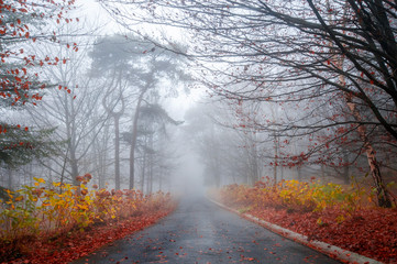 niebla monte carreteras de montaña Monte Ulia 