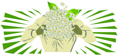 Super-elderflower