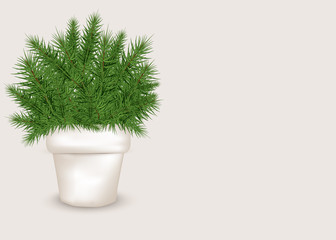 Realistic Christmas tree in a white pot. New Year 2020 mockup with copy space.Plastic free concept. Zero waste. Minimalist Christmas icon.Vector.