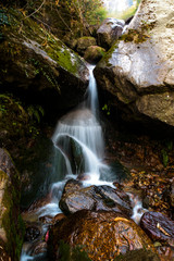 Fototapeta premium waterfall