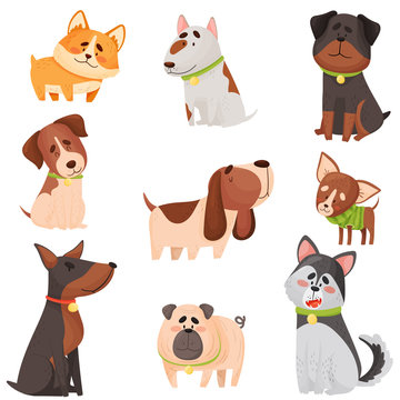 Set of cartoon thoroughbred dogs. Vector illustration.