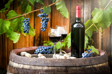 Red wine in bottle and glasses on old rustic barrel with blue grapes in background.
