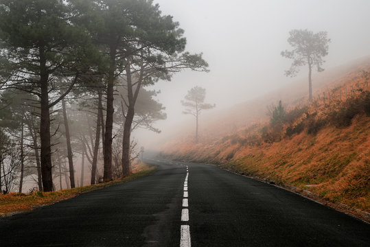 carretera de monta&ntilde;a ciclismo niebla oto&ntilde;o autum colores
