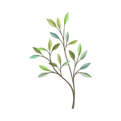 Branch with leaves of different shades. Vector illustration on a white background.