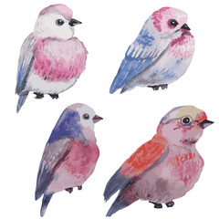 Set of pink hand drawn watercolor birds isolated on white background.