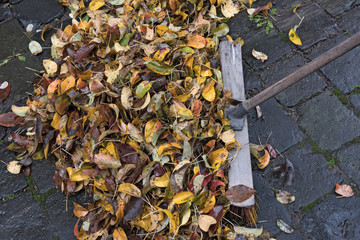 Pile of autumn leaves on paving stones and a broom