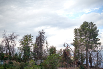 Alhambra Palace in Granada , Spain Full view at sun set time. Sierra Nevada is the backgorund. Albaicin is in front of this monument.