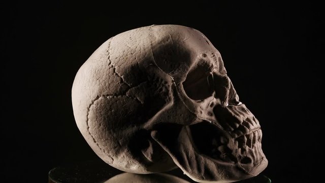 A human skull rotating on a black background
