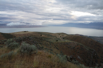 Fototapeta na wymiar Utah Lake, Sunrise, Wildlife