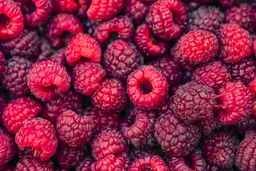 Fresh raspberries background closeup. Backdrop for your design . The concept of a healthy diet.