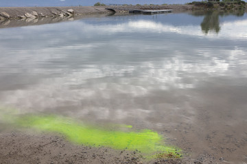 Sodium Fluorescein