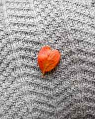 red leaf in the shape of a heart. Valentine's day concept