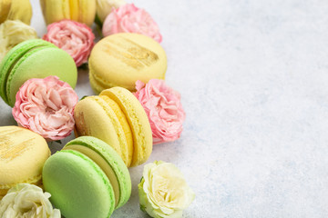 Macaroons and flowers, pastel colored white background
