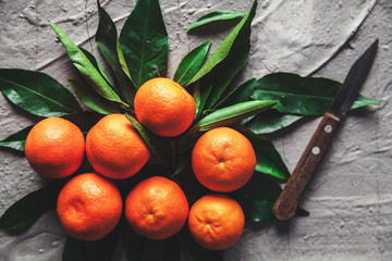 Citrus on table: mandarin, tangerine with a knife. Fresh organic juicy fruits.