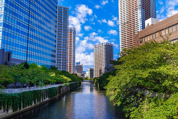 Fototapeta premium 高層マンションが立ち並ぶ大崎の街並み