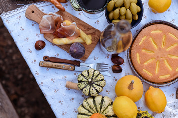 Autumn picnic in the park. Pumpkins, pie, prosciutto and snacks. Bottle of wine and glasses on a wooden table. Sunny day and outdoor recreation.