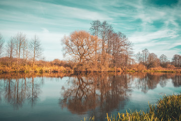 Obraz premium Trees are reflected in the water against the background of clouds.