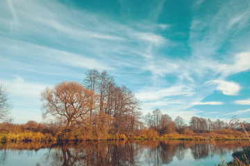 Trees are reflected in the water against the background of clouds.
