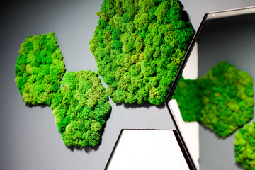  bathroom design with green moss