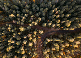 Road through autumnal forest - aerial view. Finland