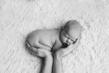 naked newborn baby lying on the hands of parents on a white background. Imitation of a baby in the womb. beautiful little girl sleeping lying on her stomach.