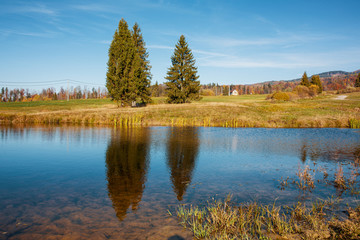 Water level of natural lake in nature, trees reflecting off lake