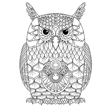 Line art. Abstract image of an monochrome owl
