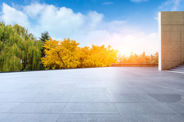 Empty square floor and yellow ginkgo tree in nature park