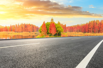 Empty asphalt road and beautiful colorful forest landscape in the nature park