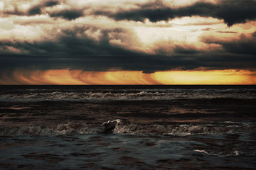 the calm before the strom 