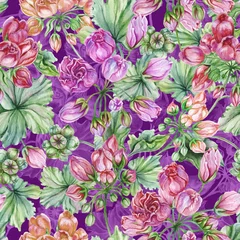 Fotobehang Beautiful floral background with tulip-flowered pelargoniums flowers and leaves. Geranium flowers. Seamless botanical pattern. Watercolor painting. Hand painted floral illustration. © katiko2016
