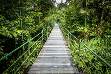 Hanging bridge at Sarapiqui jungle, Costa Rica.  - obrazy, fototapety, plakaty