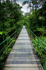 Suspension bridge at Sarapiqui jungle, Costa Rica. 