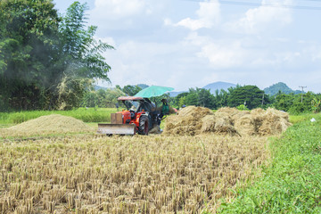 Fototapeta premium tractor in a field