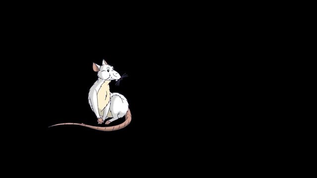 White rat falls asleep and wakes up animation Alpha Matte