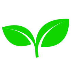 Sprout with leaves. Symbol of an environmentally friendly or rapidly degradable product that does not harm the environment. Vector illustration