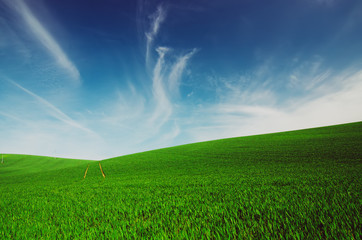 Abstract natural background