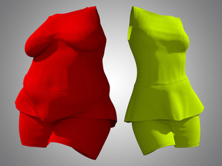 Conceptual fat overweight obese female dress outfit vs slim fit healthy body after weight loss or diet thin young woman on gray. A fitness, nutrition or fatness obesity health shape 3D illustration