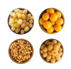 Yellow berries/fruits isolated on white background. Collage of different yellow berries. Yellow currants, yellow raspberries, grapes and plums. Top view. Fruits with copy space for text.