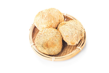 Fresh hericium erinaceus on white background