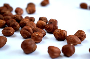 Hazelnuts on white background