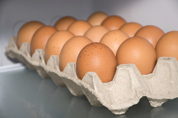 Fresh chicken eggs in paper carton box on the refrigerator shelf.