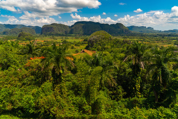 Vinales Valley site in  Pinar del Rio of Cuba