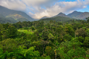 Fototapeta premium Sri Lanka highlands landscape mountains