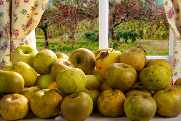 pile of organic apples on a table near the window